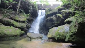 While we were traveling the natchez trace parkway the week before last, we detoured south of florence 45 minutes into a town call phil campbell. Dismals Canyon