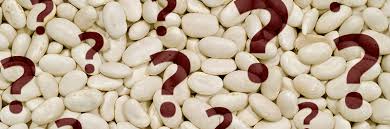 Image result for what are great northern beans uk