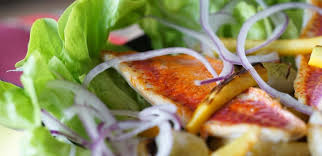 Toutes ces salades composées conviennent à. Conseils Et Recettes Pour Reussir De Belles Salades Composees