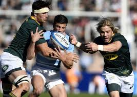 The springboks will make their return to action at loftus versfeld in pretoria on friday, 2 july, in the first test against georgia, which will also be their first outing since the rugby world. Argentina Upset Springboks In Rugby Championship