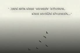 gokkusagi panosundaki pin