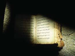 اللغة العربية في الهند مسارات كتب البيان