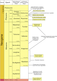 Chronostratigraphic Scale Chart Of The Marine Mediterranean