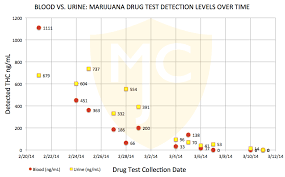 how long does marijuana cannabis stay in your system