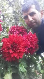 Dahlia Growers