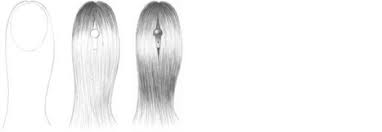 This is one of the most popular prom hairstyles for long hair because it looks great on anyone. Long Straight Hair Drawing Tutorial Drawing A