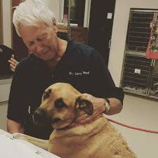 Hours may change under current circumstances Westchester Animal Clinic Linkedin
