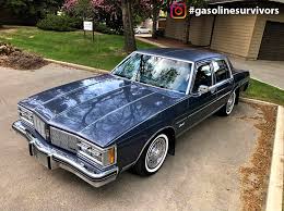 Image result for Rhone Blue 1983 Colt