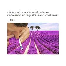 Lavender Oil Calms Our Mind And Helps Us Sleep Really Funny Memes Funny Relatable Memes Stupid Memes
