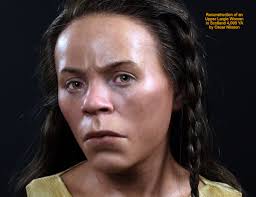 Science, Technological, Engineering, & Math, Timeline