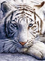 Pin On Best Animal Jigsaw Puzzles In The World