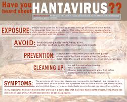 Hantaviruses are a family of viruses spread mainly by rodents and can cause varied disease syndromes in people worldwide. Headed Outdoors Familiarize Yourself With Hantavirus Article The United States Army
