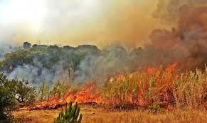 Check spelling or type a new query. Um Incendio E Varios Acidentes No Concelho De Tavira