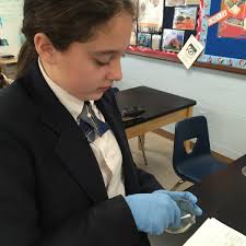 Grade 6 students swabbed various surfaces and recorded data