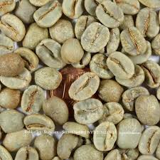 Utforska skönheten med santos från våra hotell. Brasilien Santos Natural Ny 2 3 Scr 17 18 Rohkaffee Zum Uben Beim Kaffeerosten Zu Hause Rohkaffeebohnen