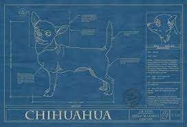 Chihuahua Dog Art Blueprint Wall Art Poster Animal Blueprint Company Chihuahua Chihuahua Lover Blueprints