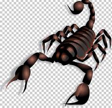 Scorpion Png Clipart Arthropod Cartoon Scorpion Free Content Hand Happy Birthday Vector Images Free Png Download Select from premium cartoon scorpion of the highest quality. scorpion png clipart arthropod