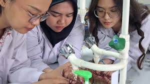 FPK Unair Students Innovate Seaweed-Based Bioplastic in Malaysia