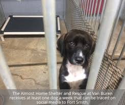 $150 adoption fee for dogs includes spay/neuter surgery, rabies and other vaccinations, heart worm. Almost Home Dog Rescue Cheap Online