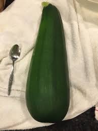 Check spelling or type a new query. Apple Pie Zucchini Canning Canning Zucchini Apple Pies Filling Zucchini