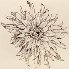 Flower Drawings Click On Image For Larger Version I Recommend It Shrinking Didn T Flower Tattoo Drawings Flower Drawing Flower Sketches