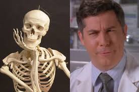 The largest bone in the human body is: Can You Name All Of The Bones In The Human Body