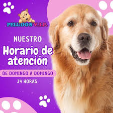 Clínica Veterinaria Peludos V.I.P