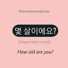 Native koreans really don't ask 'how are you?'. How To Say How Old You Are In Korean