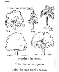 The car wants your coloring. Trees Coloring Sheet To Print And Color 013 Tree Coloring Page Coloring Pages Tree Identification