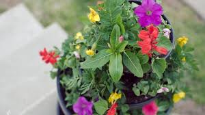 #dollaretreedupe #dollartreediy #stackableplanter #verticalgarden stackable planter vertical garden dupe. Diy Stacked Flower Pots A Grande Life