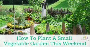 You just need a few essential elements for a successful vegetable garden: Vegetable Fruit Gardening