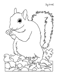 Check spelling or type a new query. Picture Of Squirrel Coloring Page Download Print Online Coloring Pages For Free Color Nimbus