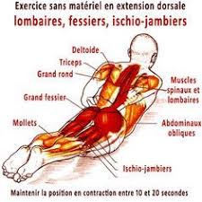 Exercice Pour Le Dos Sans Materiel Et Programme De 20 Jours L Exercice Pour Le Dos Appele En Yoga Posture Exercice Dos Exercices Pour Muscler Le Dos Exercice