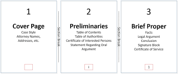 Some letters are capitalized and some are not. Using Sections To Control Page Numbers Headers And Footers Legal Office Guru