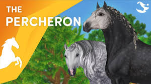 Bilder livet på sso for meg! Meet The Percheron Star Stable Breeds Youtube
