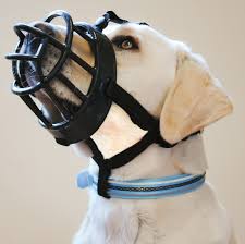 A member of the stands4 network. Focinheira Baskerville Preta Grande Tamanho 4 New York Pets
