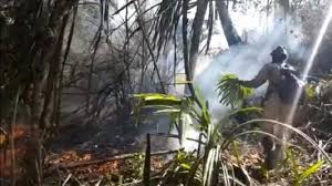 Tempat wisata di kuningan selanjutnya adalah hutan desa setianegara. Kebakaran Kembali Landa Hutan Gunung Ciremai Petugas Kewalahan Padamkan Api Bagian 1