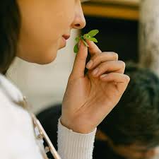 Lake Atitlan Tour: San Juan, San Pedro & Santiago in 1 Day