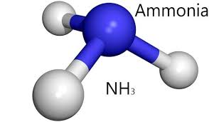 The Research Report On Ammonia Market Is Segmented By Form By Application By End Use Industry And By Region Size Share Health Advisor Ammonia News Health