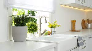 Once ground up, they form a starchy paste similar to mashed potatoes that will quickly clog. You Should Never Put Coffee Grounds Down Your Garbage Disposal Here S Why