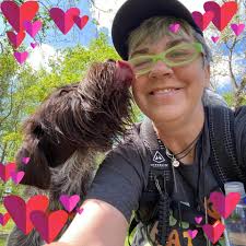 What are the best vehicles for car camping?