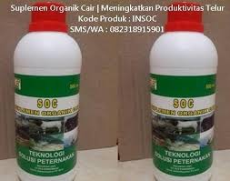 Vitamin ayam bangkok, vitamin untuk ayam, vitamin ayam aduan, vitamin ayam broiler, vitamin ayam petelur, vitamin ayam potong, obat vitamin ayam aduan, vitamin ayam adu pemberian vitamin pada ayam bangkok, sebaiknya diberikan sesuai dengan kebutuhan dan dengan dosis yang tepat. Obat Perangsang Ayam Petelur Alami Mudah Diaplikasikan Dan Ekonomis