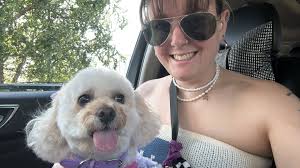 Hello Bichon dog lovers, I'm a bichon dog lover and artist. I'd like to  share my drawing of Chloe with you. I hope you like it.