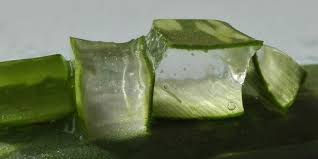 We did not find results for: 8 Manfaat Lidah Buaya Bagi Kesehatan Jadi Bahan Untuk Cuci Tangan Merdeka Com