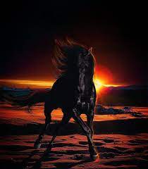We did not find results for: Beautiful Nature Photo Beautiful Animals Horses Horse Wallpaper Animals Beautiful