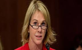 Image result for kelly craft un