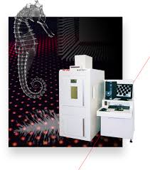 .pt nok indonesia, kisi kisi tes psikologi pt kai, kisi kisi soal psikotes pt honda lock indonesia kisi kisi psikotes pt sri 2021. X Ray Inspection Equipment Specialist Company Softex Co Ltd