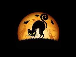 amanda jayne nine whole lives halloween images halloween pictures black cat halloween