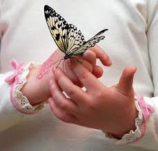 Whatsapp dp, full of love and romance. Onto A Child S Hand Butterfly Kisses Beautiful Butterflies Butterfly Art