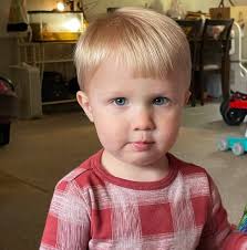 Have you seen a lost baby wood duck?